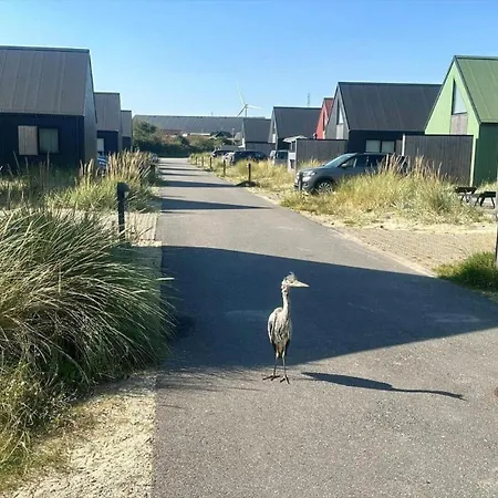 947-hvide-sande-langsand-228 *