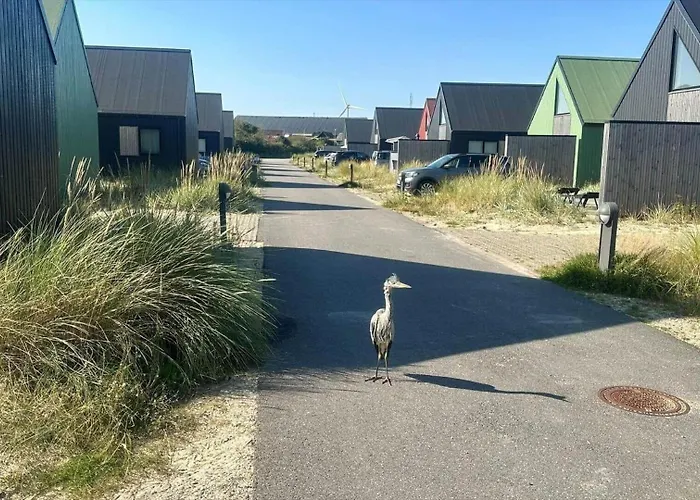 947-hvide-sande-langsand-228 *